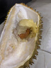京鮮生 進口金枕頭榴蓮 凈重7-8斤 1個裝 鮮果 生鮮 新鮮水果 曬單實拍圖