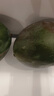 京鮮生 攀枝花凱特芒果 凈重4.5斤 帶箱5斤 單果400g+ 生鮮水果源頭直發(fā) 曬單實(shí)拍圖