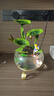樸記創(chuàng)意荷花玻璃魚缸流水?dāng)[件自動循環(huán)噴泉景觀客廳桌面造景裝飾禮品 童心流水（花仙子) 曬單實拍圖