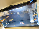 米家（MIJIA）智能生態(tài)魚缸定時喂食智能魚缸+畫法幾何增氧泵套裝 曬單實拍圖