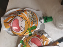 窩小芽?jì)和O(píng)果四神養養汁100ml *4袋 無(wú)添加蘋(píng)果水四神湯熬煮果汁飲料 曬單實(shí)拍圖
