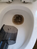 海爾T30可沖洗【 0纏毛 12cm超薄躺平 70℃高溫除菌】國家補貼智能家用洗地機吸塵掃拖一體機 升級3.3寸炫彩大屏（非手柄小屏） 曬單實(shí)拍圖