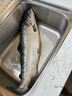 純爾挪威冰鮮三文魚整條(8斤以上)/條 生食刺身 源頭直發(fā)包郵 謝師宴 曬單實拍圖