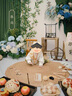 babycare調速嬰兒學(xué)步車(chē)9個(gè)月-3歲寶寶多功能平衡車(chē)防翻助步手推車(chē) 格里藍 曬單實(shí)拍圖
