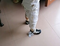 卡特兔男童運動(dòng)鞋秋季童鞋兒童跑步鞋戶(hù)外登山鞋女中大童籃球鞋X5AF024 曬單實(shí)拍圖