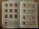 經(jīng)典碑帖筆法臨析教程：清 吳昌碩 臨石鼓文冊（洪亮主編） 曬單實(shí)拍圖