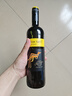 黃尾袋鼠（Yellow Tail）世界系列紅酒 西拉紅葡萄酒 750ml 單瓶裝智利原瓶進口紅酒 曬單實拍圖