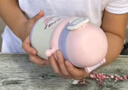 樂(lè)扣樂(lè)扣兒童保溫杯上學(xué)吸管水杯6-12歲喝水杯子女孩幼兒園兒童水杯 曬單實(shí)拍圖
