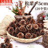 東之天地松果手工diy材料包幼兒園環(huán)創(chuàng  )天然松塔裝飾圣誕節作品干花球掛件 松果干花包20個(gè)裝【4-5cm】 曬單實(shí)拍圖