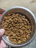 瘋狂小狗狗糧金毛拉布拉多薩摩耶邊牧 寵物幼犬成犬20kg犬糧 40斤牛肉味 曬單實拍圖