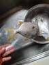 環(huán)球水產(chǎn)南海大規格金鯧魚(yú)550g1條 BAP認證 海魚(yú) 生鮮魚(yú)類(lèi) 火鍋 海鮮水產(chǎn) 曬單實(shí)拍圖