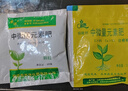 種花迷茉莉花苗盆栽帶花苞花卉植物室內驅蚊梔子水培好養綠植九里香植物 當年開(kāi)花茉莉6年苗5株無(wú)盆 曬單實(shí)拍圖