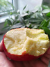 山姆伯伯 花牛蘋(píng)果 【多地次日達】甘肅天水粉面蘋(píng)果水果禮盒蛇果中秋禮品 【超甜·臻選果】單果75-80mm 5斤裝【巨劃算-80%人選】超值推薦 凈4.5斤 曬單實(shí)拍圖