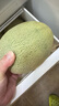 京鮮生 哈密瓜/西州蜜 2粒裝 凈重5-7斤 單果2.5斤起 生鮮水果中秋禮盒 曬單實(shí)拍圖