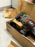 戴森（DYSON）【雙十一搶購】【重磅新品】V8 Cyclone DS20無(wú)繩吸塵器 手持無(wú)線(xiàn) 除螨 寵物 家庭適用 家用禮物 2025新款旗艦版 曬單實(shí)拍圖