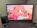 聯(lián)想小新16/小新Pro16GT AI元啟 2025新品可選補(bǔ)貼 超輕薄筆記本電腦 手提辦公大學(xué)生游戲設(shè)計本 R7 H255｜24G 1TB｜Pro16國家補(bǔ)貼 16英寸 防眩光全面屏 曬單實(shí)拍圖