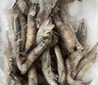 PHUKEY SEA大號厄瓜多爾凍南美白對蝦 只只分離 海鮮水產(chǎn) 3斤 (31-40只/KG) 曬單實(shí)拍圖