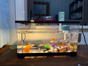 闊庭魚(yú)缸懶人魚(yú)缸家用客廳辦公室金魚(yú)缸過(guò)濾魚(yú)缸黑色款 曬單實(shí)拍圖