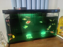 米家（MIJIA）智能生態(tài)魚缸還原自然生態(tài) 智能魚缸+濾芯套裝 曬單實(shí)拍圖