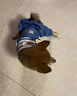 阿莫爾狗狗衣服秋冬款可牽引四腳背帶褲泰迪比熊博美小型犬寵物貓咪服裝 藍(lán)色【可牽引】 XXL(建議13-17斤參考胸圍背長) 曬單實(shí)拍圖