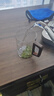 TEAHUE茶杯泡茶玻璃杯套裝涼水綠茶杯家用高硼硅耐高溫水杯子喝水杯 曬單實(shí)拍圖
