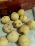 蒲戀江蘇特產(chǎn)無(wú)錫水蜜桃【JD多地次日達】軟桃硬桃子中秋水果禮盒送禮 一級果5-6兩12個(gè)禮盒裝凈6斤多 頭茬鮮果 | 軟硬兩吃 曬單實(shí)拍圖
