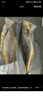 GUO LIAN國聯(lián) 三去黃花魚(yú)2條 共凈重2斤國產(chǎn)寧德東海大黃魚(yú) 海鮮水產(chǎn)生鮮 曬單實(shí)拍圖
