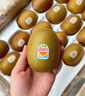 佳沛（zespri）新西蘭  陽(yáng)光金果22粒原箱 單果重144-175g 獼猴桃 中秋水果禮盒 曬單實(shí)拍圖
