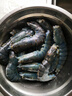 GUO LIAN國聯(lián)水產(chǎn) 國產(chǎn)黑虎蝦 無冰凈重2斤 特大號20-30只 海鮮海產(chǎn)冷凍蝦 曬單實拍圖