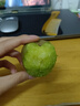 金百粟 四川蒲江紅心獼猴桃 紅心黃肉奇異果大果 新鮮水果生鮮 蒲江獼猴桃10枚【單果70-90g】 曬單實(shí)拍圖