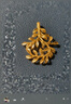 周生生足金樹葉型黃金吊墜女款項(xiàng)墜不含項(xiàng)鏈50461P計(jì)價(jià)3.1克 曬單實(shí)拍圖
