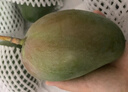 京覓四川攀枝花凱特芒 芒果凈重4.5-5斤單果400g起 新鮮水果源頭直發(fā) 曬單實(shí)拍圖