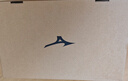 美津濃（MIZUNO）CYCLONE SPEED CN排球鞋綜合室內外訓練鞋男女款羽毛球鞋乒乓球鞋 白金 【顏值與實力并存】 現(xiàn)貨 38 =240mm 曬單實拍圖