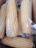 京鮮生東北白糯玉米250g*10棒 新鮮甜糯玉米棒真空包裝粘玉米 源頭直發(fā) 曬單實(shí)拍圖