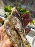 胖東來品質(zhì)香酥小黃魚即食魚干海味黃花魚網(wǎng)紅大休閑零食品干貨解 [香酥原味]小黃魚干1包(約20條) 曬單實拍圖