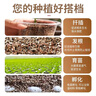 萌萌肉蛭石月季扦插養(yǎng)花專用土珍珠巖顆粒土烏龜?shù)胺趸l(fā)根育苗種 蛭石1-3毫米10L 曬單實(shí)拍圖