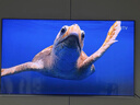 海信電視E8Q 85英寸 信芯H6 U+MiniLED  黑曜屏 首發(fā)330Hz高刷 帝瓦雷音響 E8NPRO升級 國家補貼85E8Q 曬單實(shí)拍圖