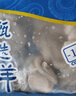 美加佳 三去小章魚(yú)凈重1斤（8-13只） 去牙去臟八爪魚(yú) 海鮮水產(chǎn)  曬單實(shí)拍圖