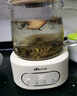小熊（Bear）養(yǎng)生壺 2L大容量煮茶壺煮茶器 24H恒溫花茶壺 燉煮一體燒水壺電熱水壺 316L母嬰材質 YSH-D20T6 曬單實拍圖