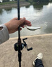 達(dá)億瓦DAIWA 24款蜘蛛100 SV/TW  泛用遠(yuǎn)投輪水滴輪路亞漁輪 100HL 曬單實(shí)拍圖