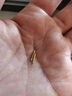夢(mèng)金園黃金耳飾迷你小金豆足金實(shí)心耳釘養耳棒男女款生日禮物定價(jià) 小號一對-約0.2g（長(cháng)度7mm） 曬單實(shí)拍圖