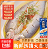 千湖夢(mèng)三去大白刁翹嘴魚(yú)湖北刁子魚(yú)輕腌咸淡適中味美鮮香大白條 整條三去大白刁350g*5條 曬單實(shí)拍圖