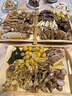 志高（CHIGO）電動理發(fā)器理發(fā)推子 家用成人兒童剃頭理發(fā)器自理發(fā)神器剃發(fā)器電推子電推剪理發(fā)工具全套8801 曬單實拍圖
