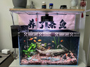 樂(lè )迪魚(yú)缸燈72W爆藻燈原生態(tài)溪流缸燈金魚(yú)出苔 NX扁燈  黑色72W【單色調光  APP控制】 曬單實(shí)拍圖
