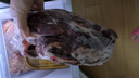 龍江和牛 國產(chǎn)和牛原切牛腱子2斤 生鮮牛肉 醬鹵燉煮食材【真原切】 曬單實(shí)拍圖