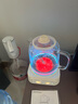 GDANNY德國養生壺全玻璃官方旗艦店電燒水熱水燉煮茶保溫一體全自動(dòng)恒溫新款電陶爐泡迷你嬰兒沖奶辦公室 2025新升級【旗艦款】 2L 曬單實(shí)拍圖