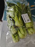 上海青約500g(油菜) 曬單實(shí)拍圖
