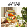 京東京造 智能攝像機V5+64G存儲卡 500萬(wàn)像素3K高清家用監控攝像頭 雙頻WiFiAI人形寵物360度全景微光夜視 曬單實(shí)拍圖