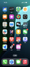 蘋(píng)果16pro iPhone16蘋(píng)果16ProMax移動(dòng)聯(lián)通電信全網(wǎng)通5G游戲手機 iPhone16Pro 白鈦金屬6.3英寸 256GB【公開(kāi)版全網(wǎng)通】 曬單實(shí)拍圖