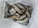 大梅小鎮鮮活速凍黑虎蝦超大規格黑虎蝦黑金剛老虎蝦大個(gè)新鮮盒裝3斤 1200g(凈重)  1620規格黑虎蝦一盒 曬單實(shí)拍圖